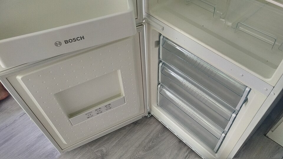 Bosch KGN39VL21R